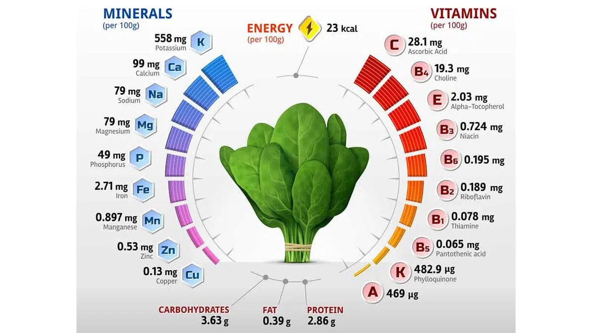 Best Nutrients to Promote Hair Growth