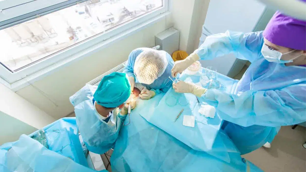 Things to Consider Before Transplant Surgery